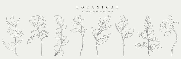 Wall Mural - botanical arts. hand drawn continuous line drawing of abstract flower, floral, rose, tropical leaves