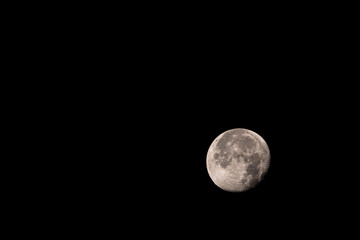 Wall Mural - moon in the night sky background