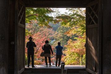Wall Mural - Autumn Japanese maple trees framed by Engakuji Temple gate and tourists in Kamakura, Japan　秋の鎌倉 円覚寺の総門と紅葉したもみじ 観光客のシルエット