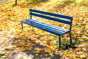 Wall Mural - empty blue wooden bench at lawn covered with yellow leaves of city park on sunny autumn day