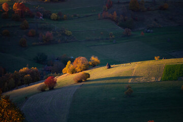 Wall Mural - Beautiful autumn landscape in Transylvania