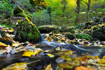 Wall Mural - Small forest waterfall and rocks covered with moss