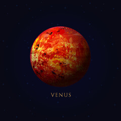 Wall Mural - venus in space vector.elements of this vector furnished by nasa