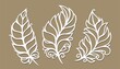 Set of skeletons of a leaf, a feather. Line drawn decorative element. The theme of nature, plants. Template for plotter laser cutting of paper, metal engraving, wood carving, cnc. Vector illustration.