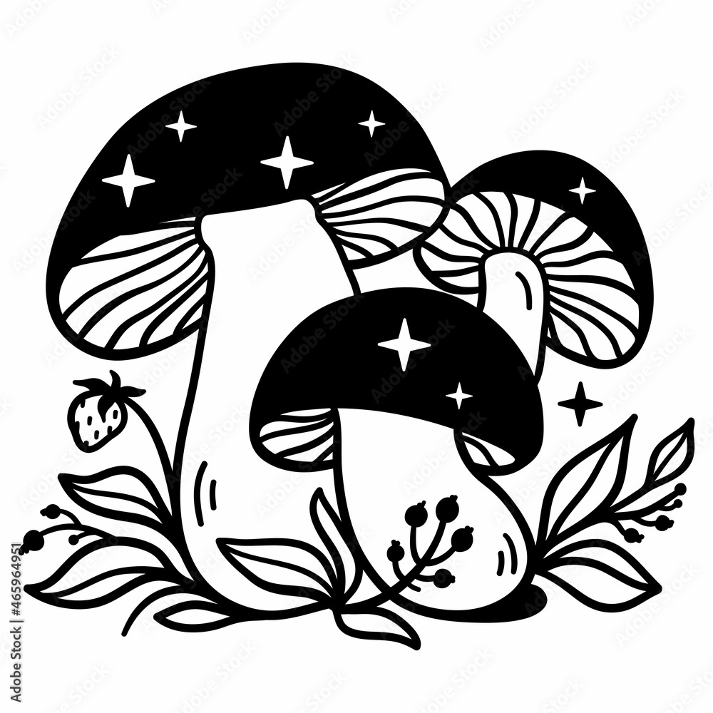 Mystical mushrooms isolated clipart, magic line celestial mushrooms, moon  and stars. Black and white illustration. Stock Illustration | Adobe Stock, image size:1000x1000