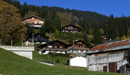 Canvas Print - alpes bernoises...haslberg