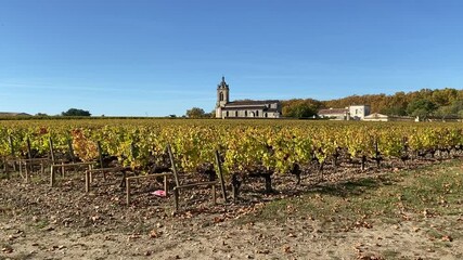 Poster - Vignoble à Margaux en automne, Gironde