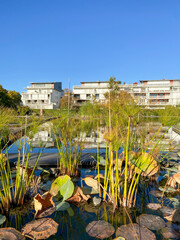 Canvas Print - Bassins du jardin botanique de Bordeaux, Gironde