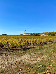 Sticker - Vignes à Margaux en automne, Gironde