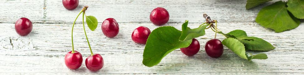 Wall Mural - banner of Fresh sweet cherries white bowl with leaves in water drops on wooden background