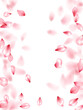© SunwArt - Pink sakura flower flying petals isolated on white vector background.