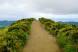 © chriss73 - muddy path on cidade lakes on the azores islands