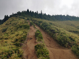 Wall Mural - muddy path on cidade lakes on the azores islands