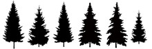 Set Of Christmas Trees Vector.