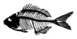 silhouette of a fish skeleton vector