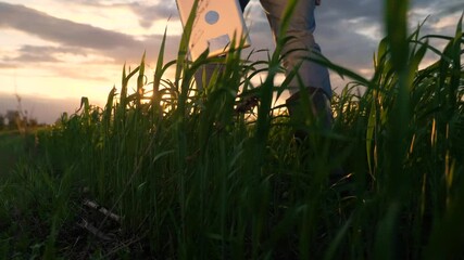 Sticker - agriculture. smart farming technology. close-up of a farmer feet in rubber boots with a digital tablet walk on a green field of grass wheat at sunset. sunny beautiful light. working scientist