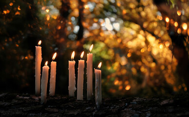 Magic burning candles on glowing dark natural background. mysterious fairy scene. witchcraft ritual. dark natural Background. Samhain, Halloween holiday concept