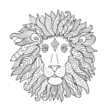 Hand drawn outline lion head decorated with abstract doodle zentangle ornaments. Sketch for your design
