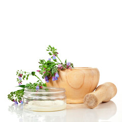 Canvas Print - The Common Comfrey (Symphytum officinale) herb in a wooden mortar with jar of cosmetic cream isolated on a white background.