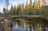 Fototapeta Most - Reflection on pond