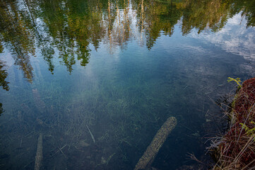 Wall Mural - Reflection on pond