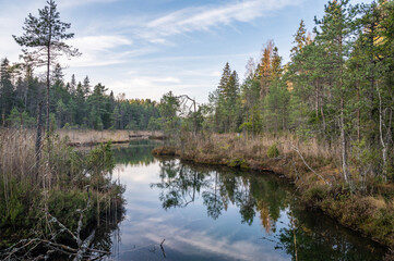 Wall Mural - Reflection on pond