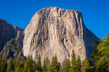 Wall Mural - Spectacular views of the big canyon. Amazing mountain landscape. Breathtaking view of the rocks. Yosemite National Park, USA