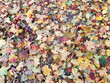 Bunte Herbstblätter auf der Wiese