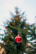 A Christmas Ball On A Branch Of A Fir Tree. A Branch Of A Fir Tree With A Christmas Toy On A Blurry Background Is A New Year's Holiday Background. Holiday Cards. Vertical Photo
