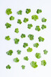 © Яна Скиданенко - green small leaves spread out on a white background