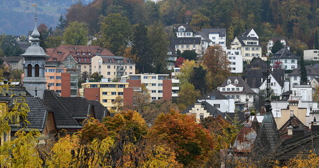 Poster - lucerne