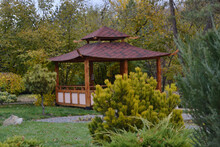 Gazebo In Oriental Style In An Autumn Park Among Yellow Leaves