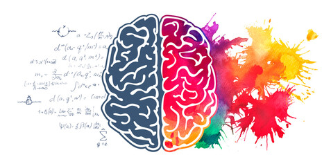 Left and right hemisphere of human brain watercolor illustration