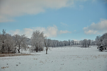 Poster - Winter Scene