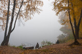 Fototapeta Miasta - Fishermen with fishing rods sit on the bank of a foggy river