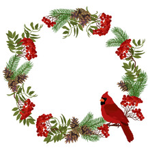 Christmas Decorated Wreath With Pine, Rowan And Bird Cardinal On A White Isolated Background.