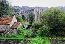 Distanced View Of Rievaulx Abbey, From Rievaulx Village, In October, 2021.