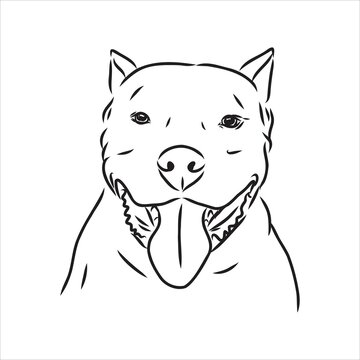 Vector sketch drawing pitbull barking pit bull terrier dog vector