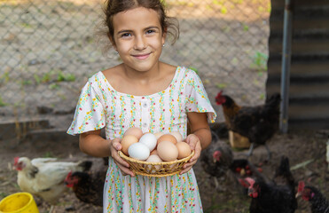 Wall Mural - The child picks up the eggs in the chicken coop. Selective focus.