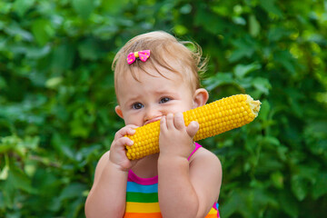 Poster - Baby eats corn with his hands. Selective focus.