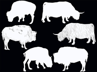 Wall Mural - six bisons and bulls isolated on black