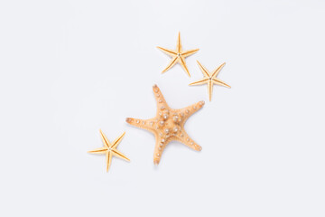 Wall Mural - Beautiful starfish on a white background. Top view, flat lay