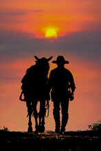 The Silhouette Of The Cowboy And The Setting Sunset