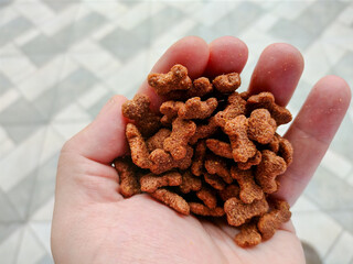 Closeup holding pet food, dog food in the form of bones. 