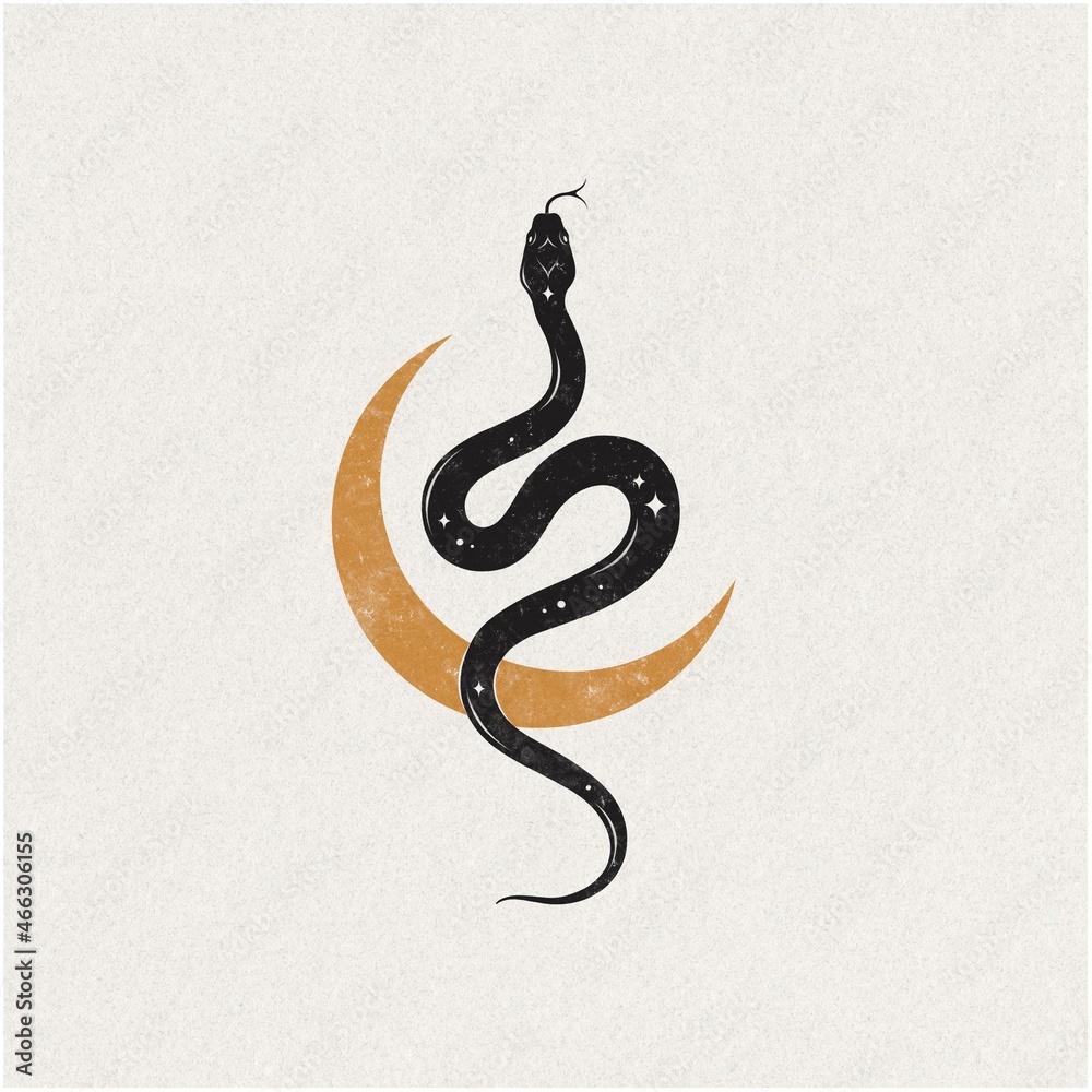 Serpent and moon vintage paper hand drawn illustration spiritual mystic ...