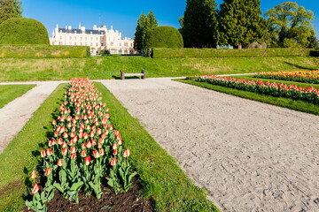 Fototapete - Lednice Palace with garden, Czech Republic