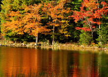 Acadia National Park, ME - USA - Oct. 14, 2021: Autumn Horizontal Image Of Trees Reflecting In Eagle Lake, Located In The Acadia National Park.