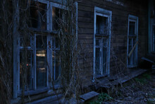 The Wall Of An Abandoned Wooden House With Windows Overgrown With Ivy
