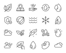 Vector Set Of Hazelnut, Snowflake And Cloudy Weather Line Icons Set. Beans, Leaves And Cold-pressed Oil Icons. Wind Energy, Waves And Flood Insurance Signs. Leaf, Vitamin E And Leaf Dew. Vector
