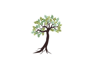 Sticker - hand drawn tree vector illustrations